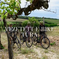 11.08. // Vezetett E-Bike túra