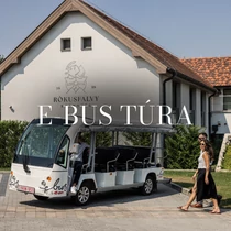 Libadalmi E-Bus túra 14:00 - felnőtt jegy (ajándék pohár forró itallal)