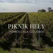 Piknik hely a szőlőben 