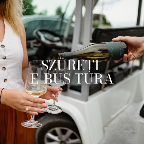Szüreti E-Busz túra Etyeken - borkóstolóval // 09.27.