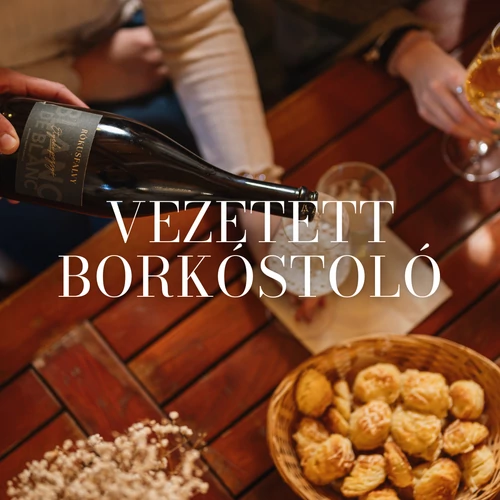 Vezetett borkóstoló 03.14. szombat - 16:00