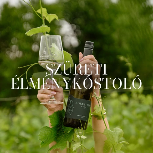 A bor útja - szüreti élménykóstoló // 09.20.