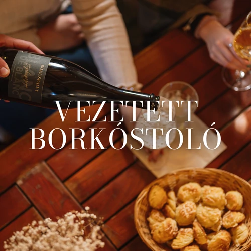 Vezetett borkóstoló pincetúrával // 07.04. péntek 18:30