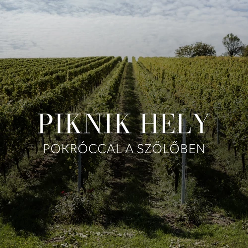 Piknik hely a szőlőben 